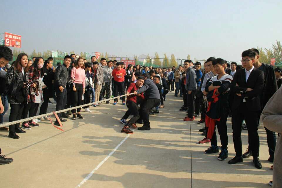 qq图片20161017120619.jpg